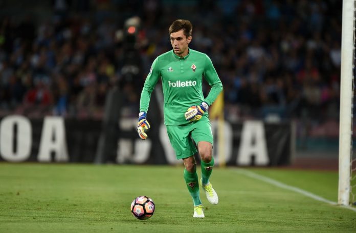 SSC Napoli v ACF Fiorentina - Serie A