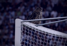 Suomen jalkapallomaajoukkue - Huuhkajat