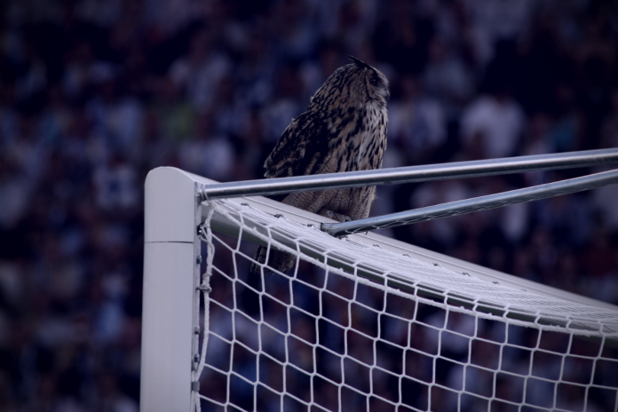 Suomen jalkapallomaajoukkue - Huuhkajat