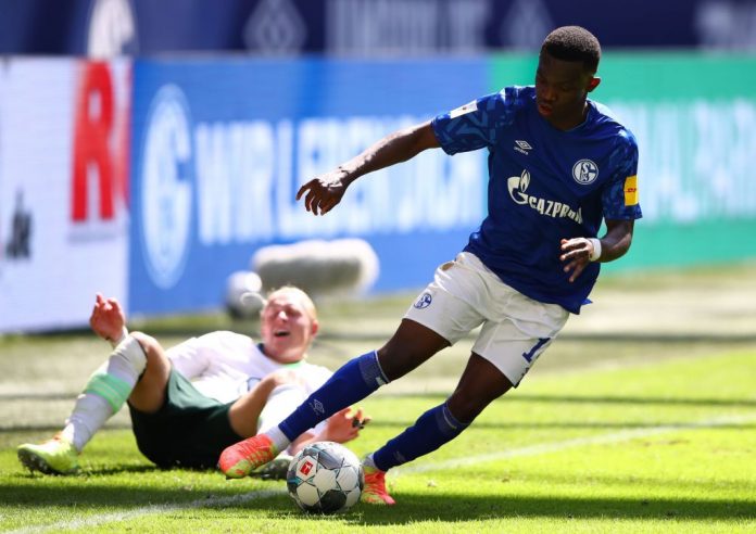 FC Schalke 04 v VfL Wolfsburg - Bundesliga